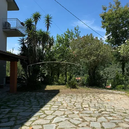 Gelso Bianco, Giardino Sul Mare * Segno