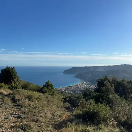 Gelso Bianco, Giardino Sul Mare * Segno