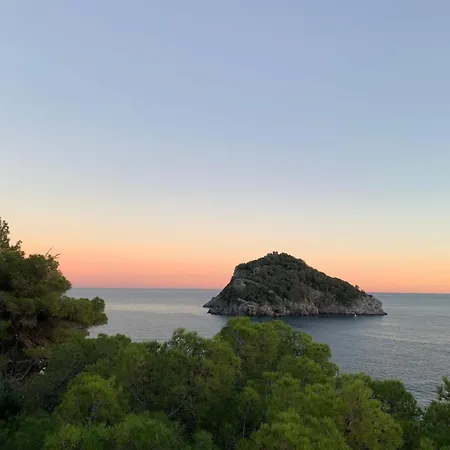 Gelso Bianco, Giardino Sul Mare *