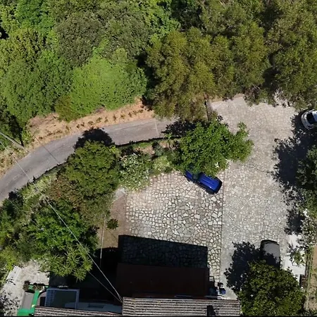 Gelso Bianco, Giardino Sul Mare