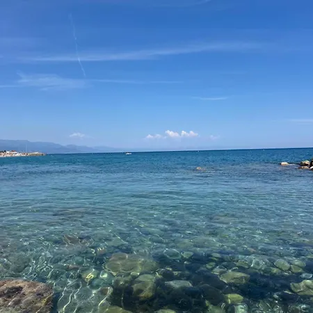 Gelso Bianco, Giardino Sul Mare